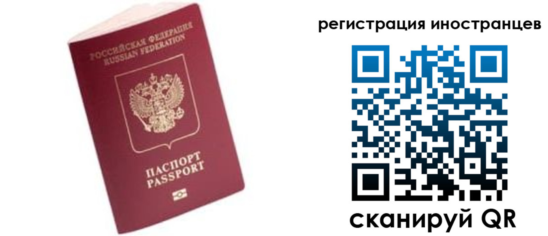 прописка гарантия в Белгороде